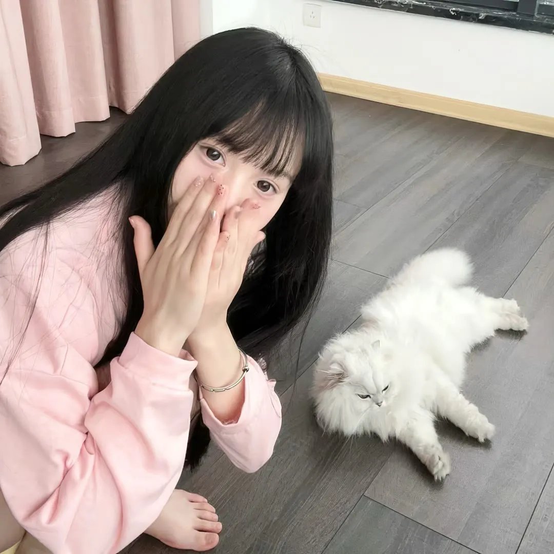 见君心